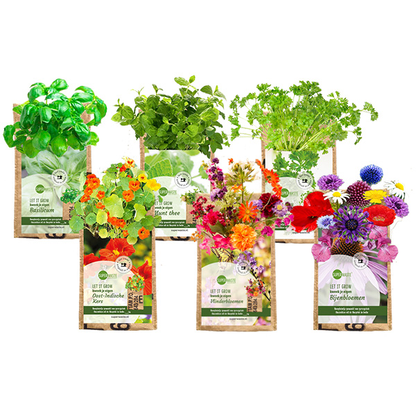 Hanging garden | Eco promotional gift